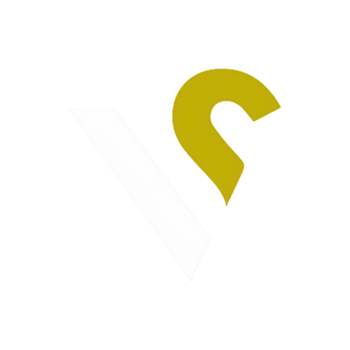 VnS